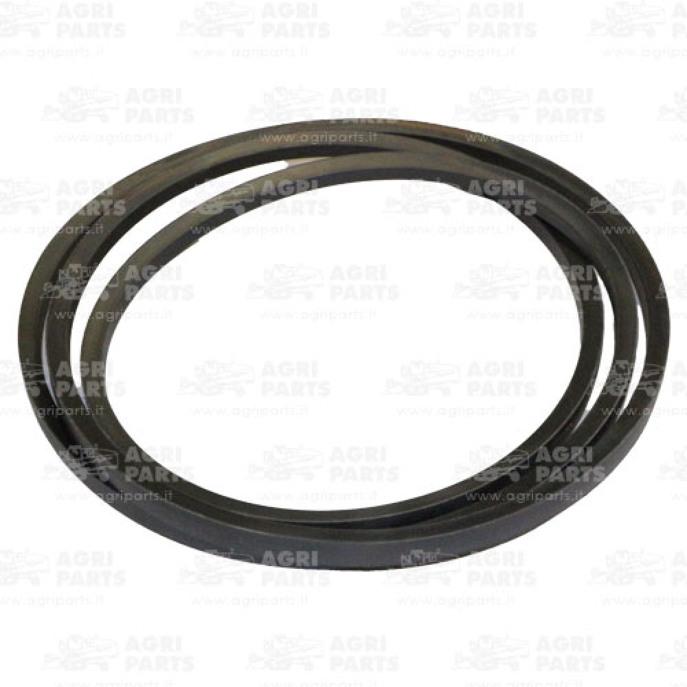 17AP000565 - CINGHIA - 17AP000565