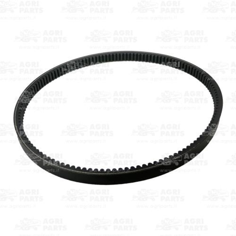 17AP000566 - CINGHIA - 17AP000566