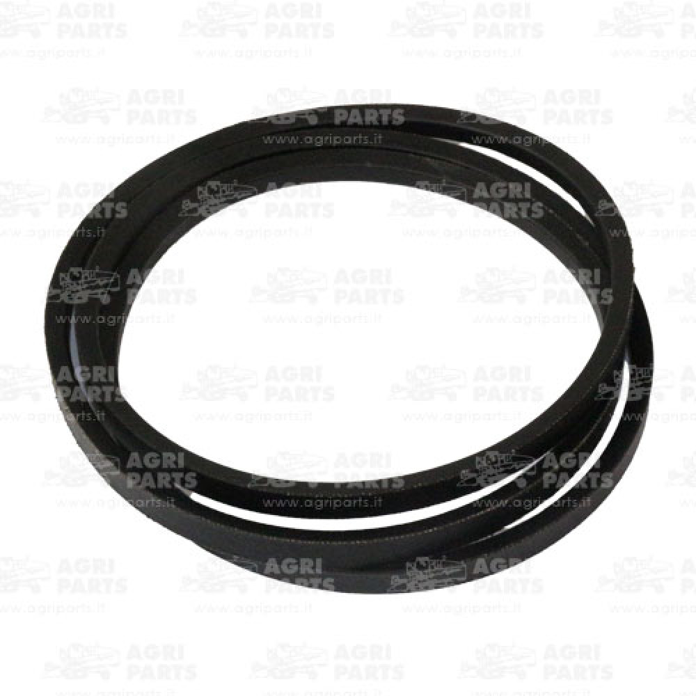 17AP000568 - BELT - 17AP000568