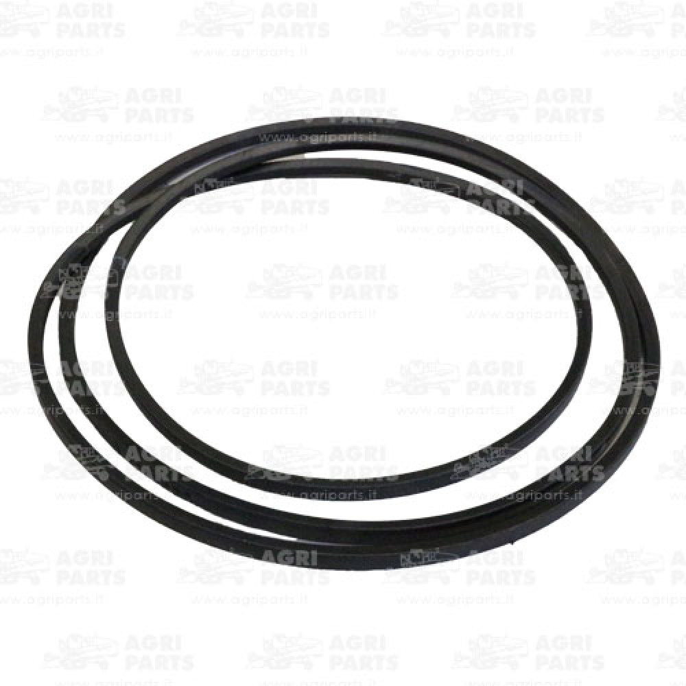 H143869 - RIEMEN - H143869JD