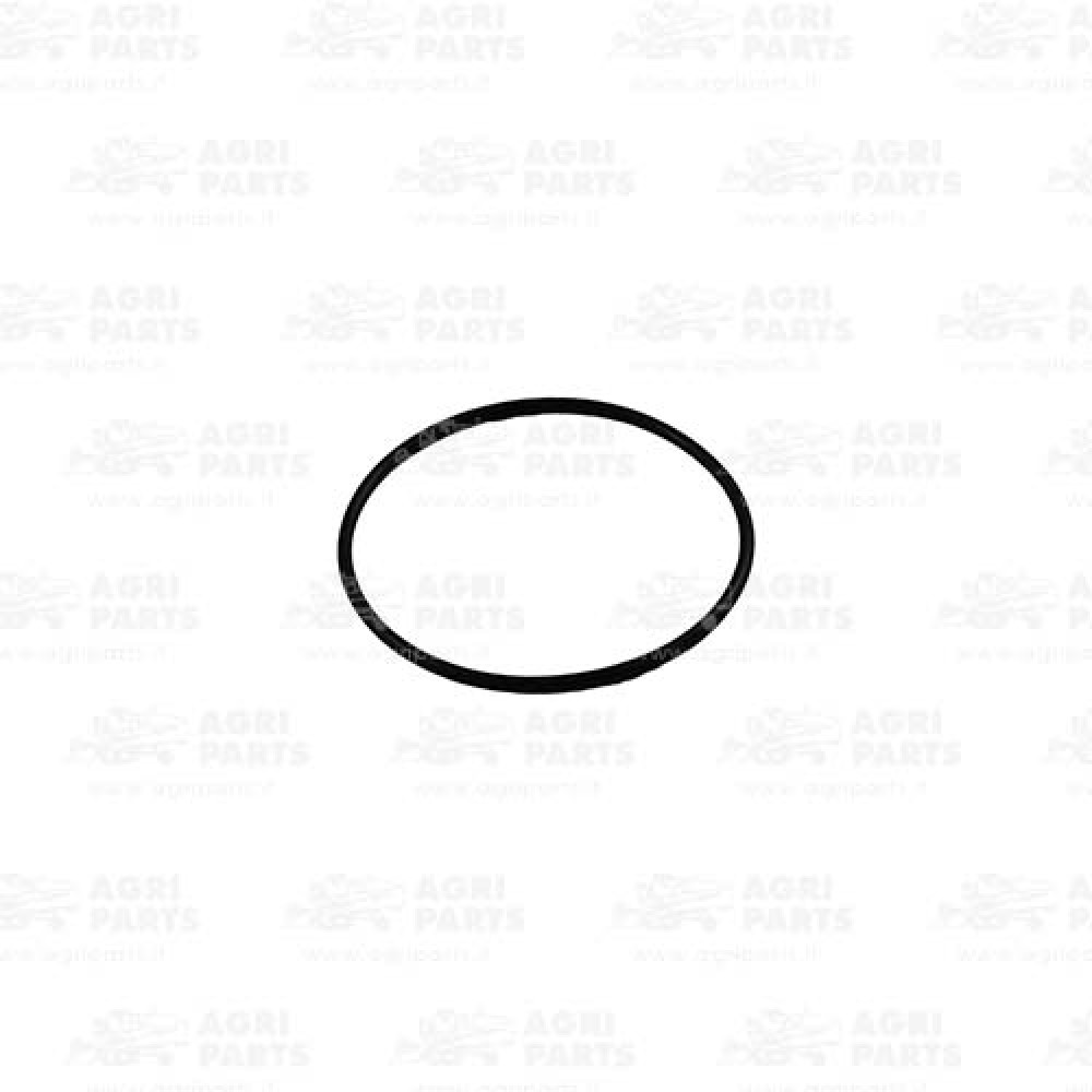 165216 - O-RING - 165216CNH