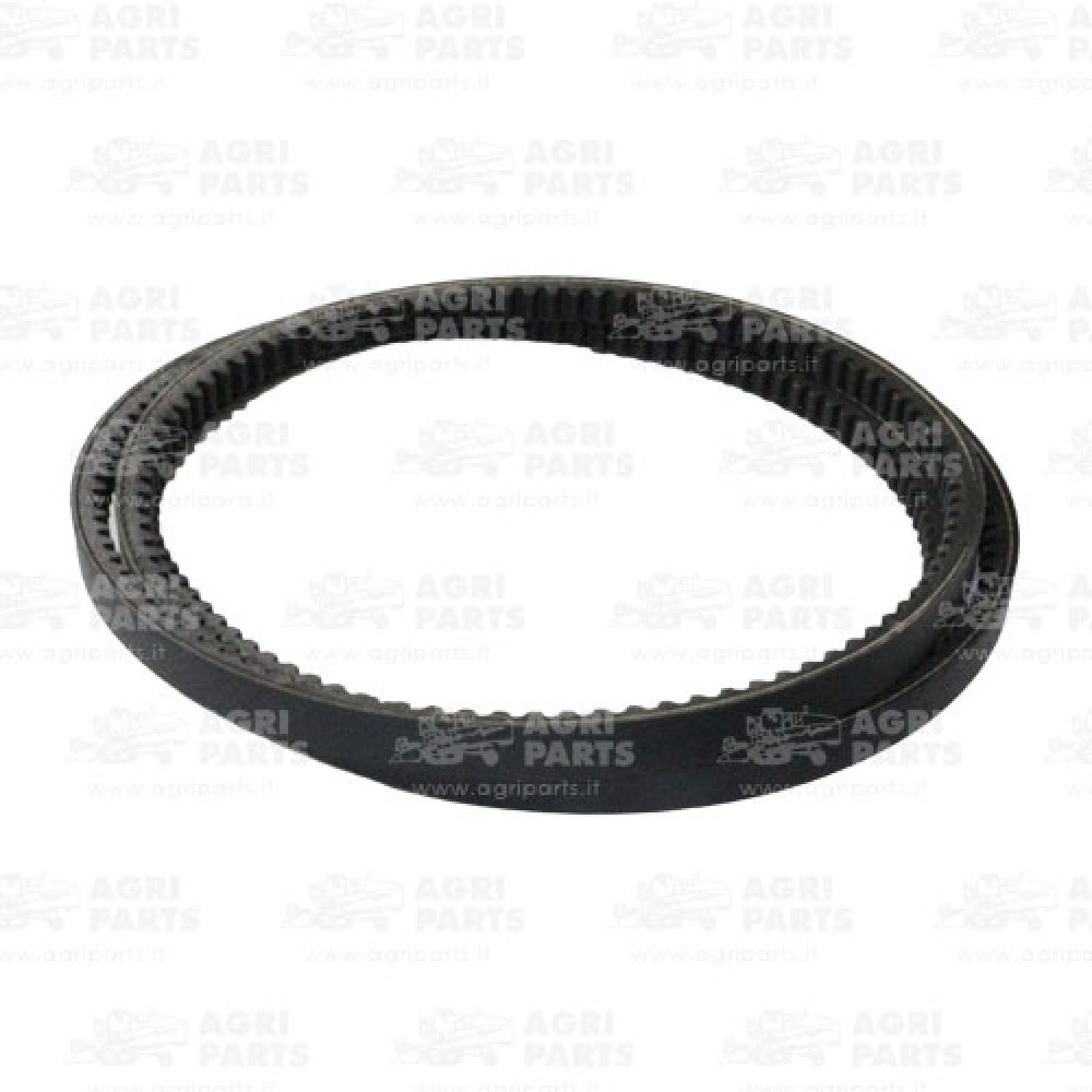 18AP000651 - CINGHIA - 18AP000651