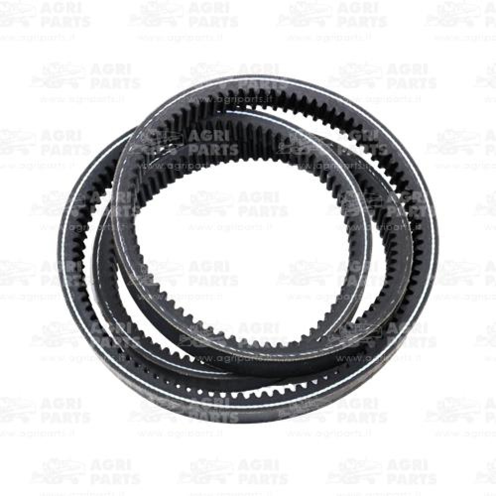 18AP000673 - CINGHIA - 18AP000673