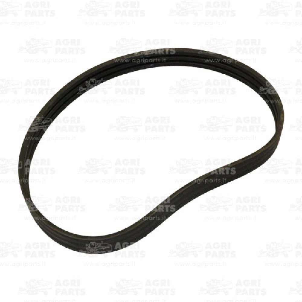 18AP000684 - CINGHIA - 18AP000684