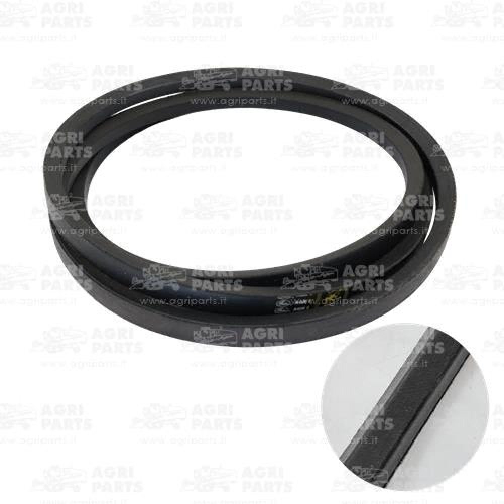 18AP000750 - CINGHIA - 18AP000750