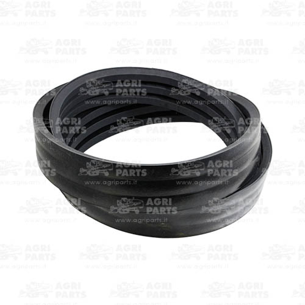 18AP000802 - CINGHIA - 18AP000802