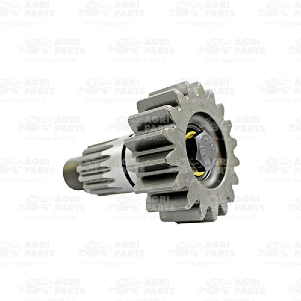 1384712 - PIGNON - 0001384712CL