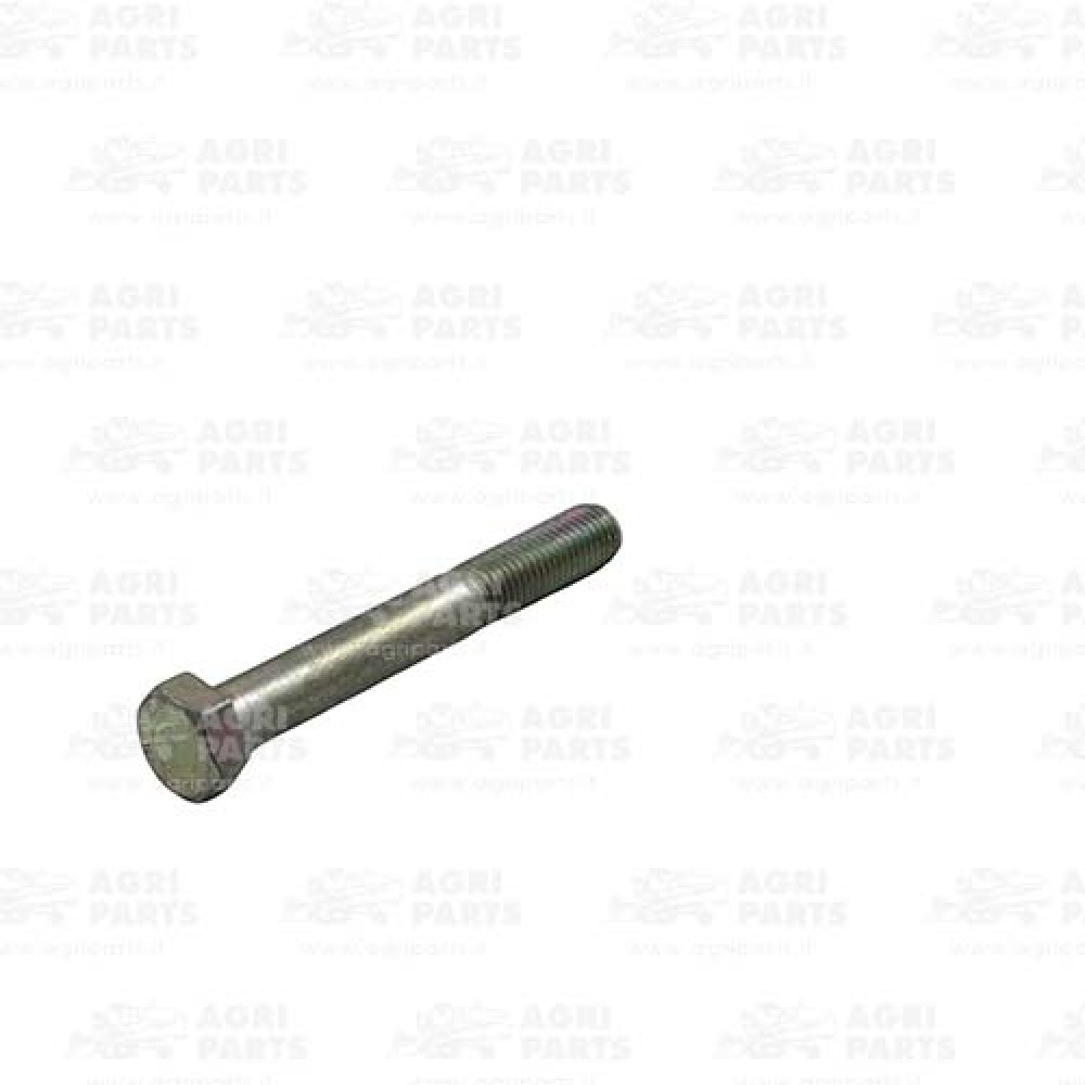 2424110 - BULLONE ESAGONALE - 0002424110CL