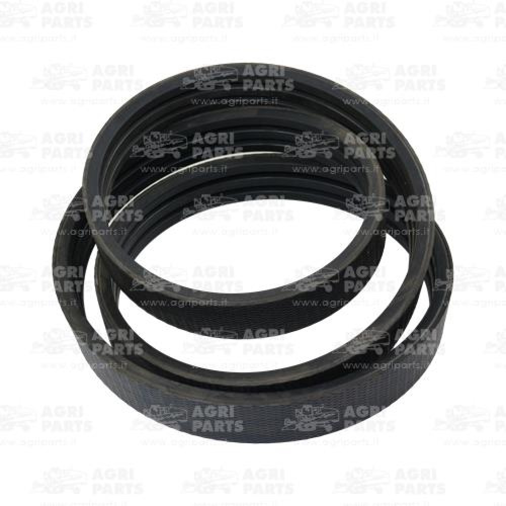 5441141 - CINGHIA (3HB) - 0005441141CL