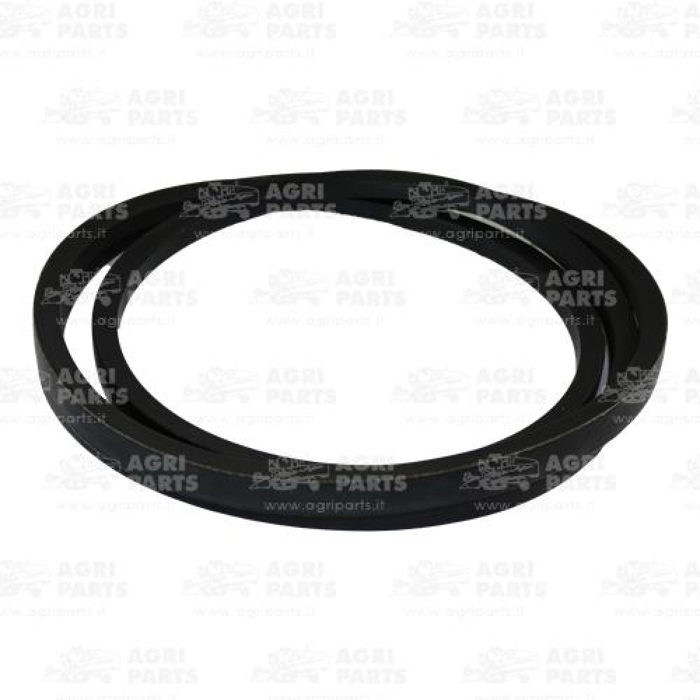 6442092 - CINGHIA (1HC) - 0006442092CL