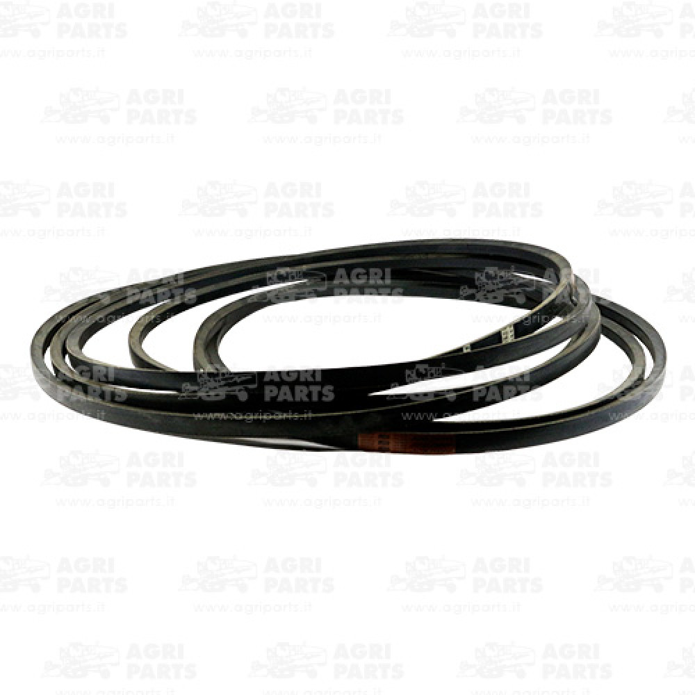 6444191 - COPPIA CINGHIE - 0006444191CL