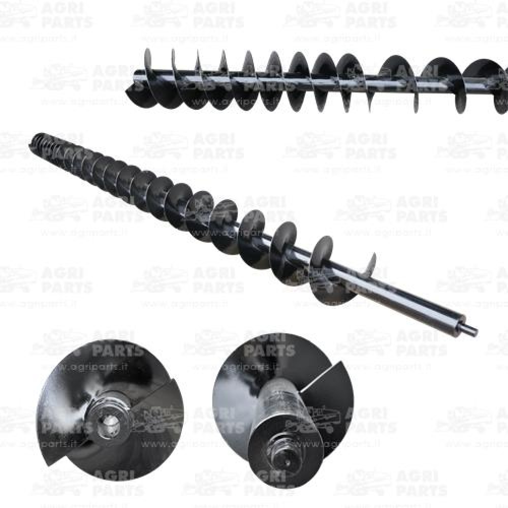 6465642 - SCHNECKE - 0006465642CL