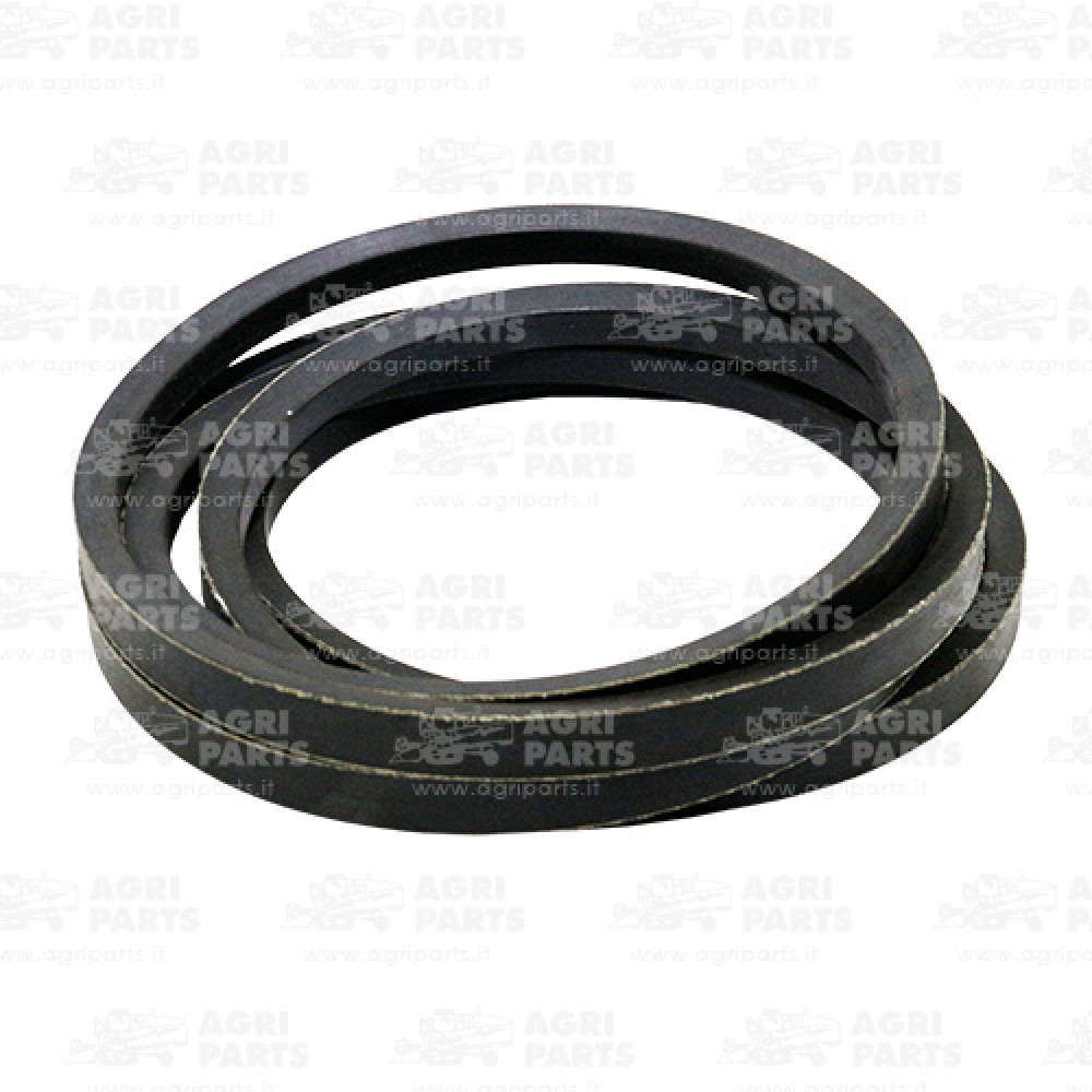 6033361 - RIEMEN - 0006033361CL