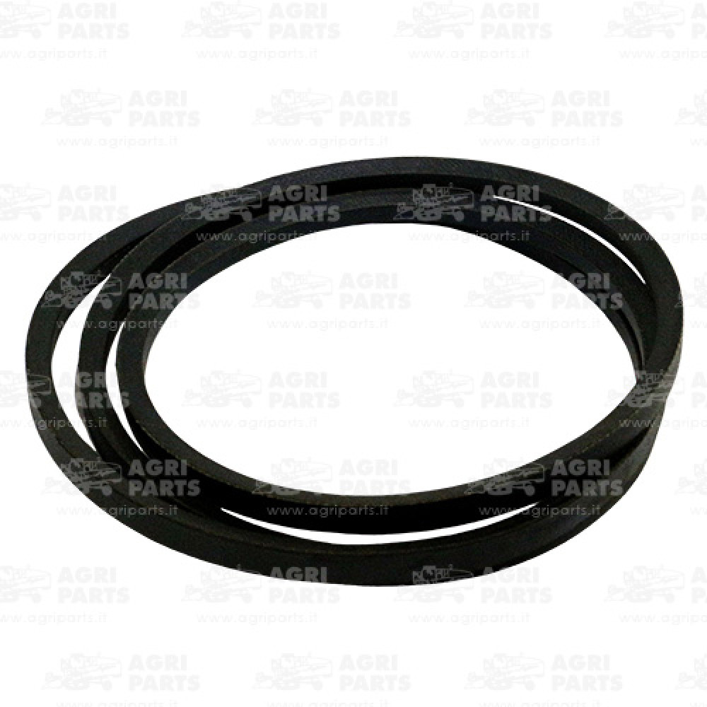 6444480 - RIEMEN - 0006444480CL