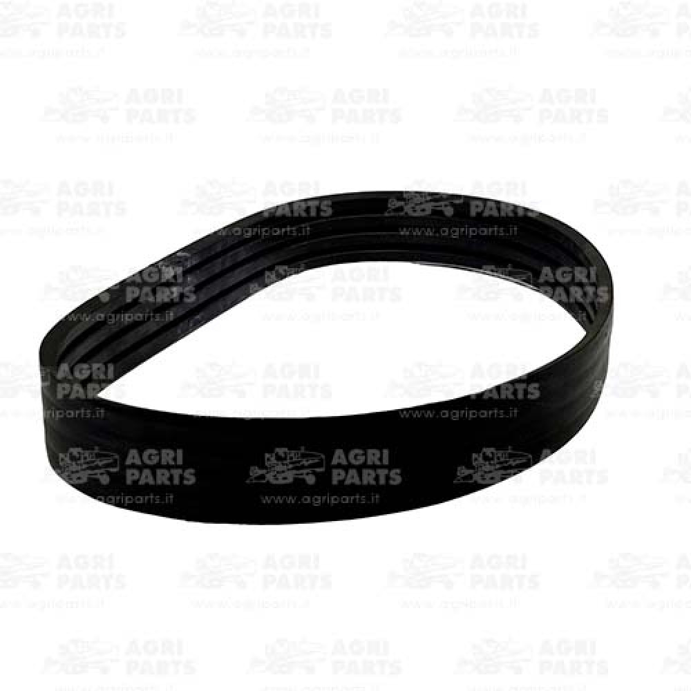 6291331 - RIEMEN - 0006291331CL