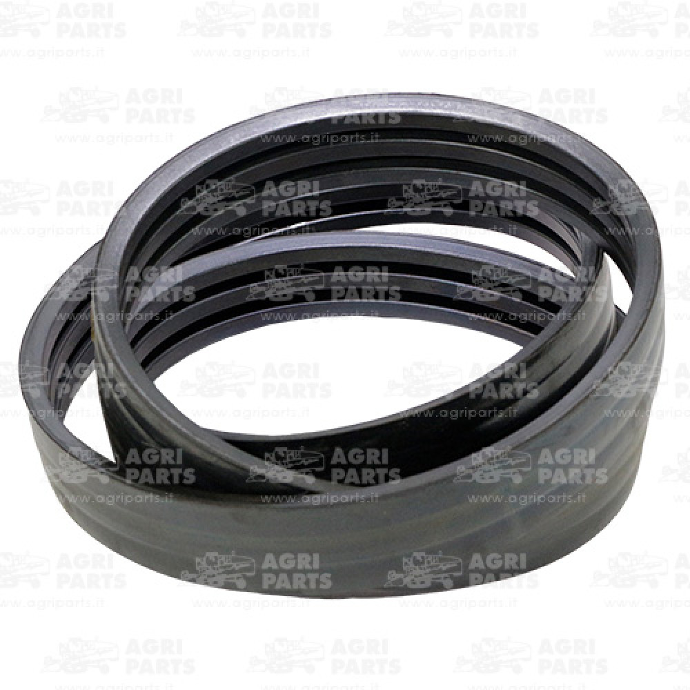 6295101 - RIEMEN - 0006295101CL