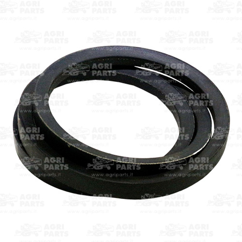 6330302 - CINGHIA - 0006330302CL