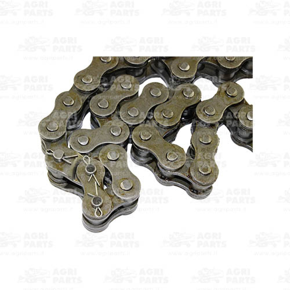 2142230 - CATENA A RULLINI - 0002142230CL