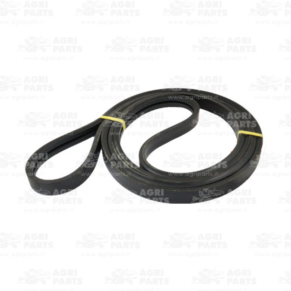 5541710 - RIEMEN - 0005541710CL