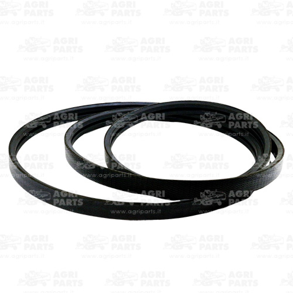 6289780 - CINGHIA MULTIPLA (2HB) - 0006289780CL