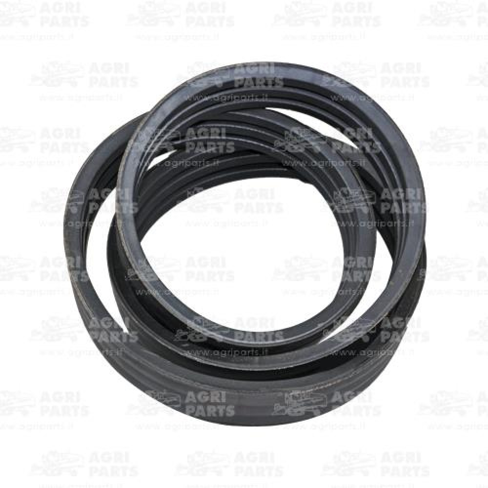 6293661 - RIEMEN - 0006293661CL