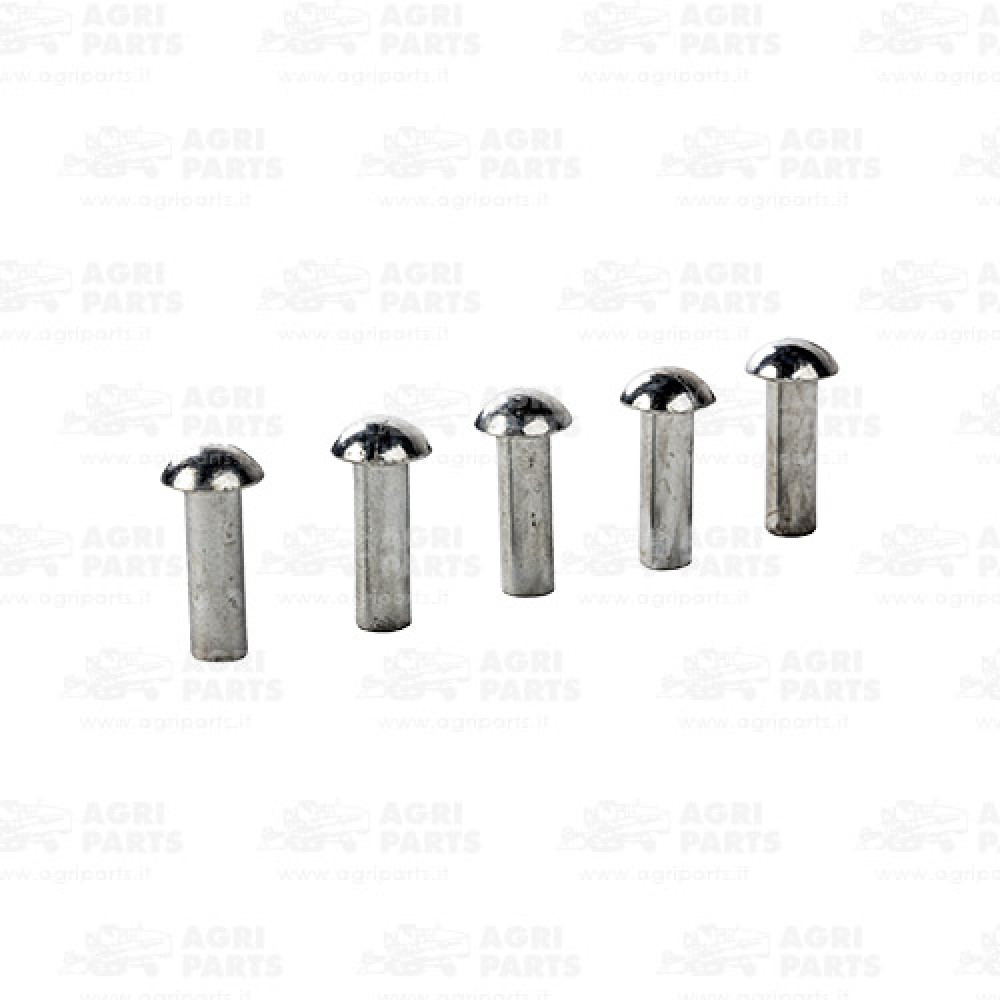 2354614 - NIETE - 0002354614CL