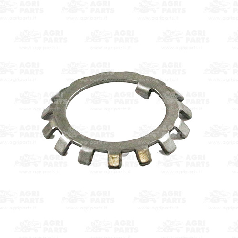 3666140 - RONDELLA - 0003666140CL