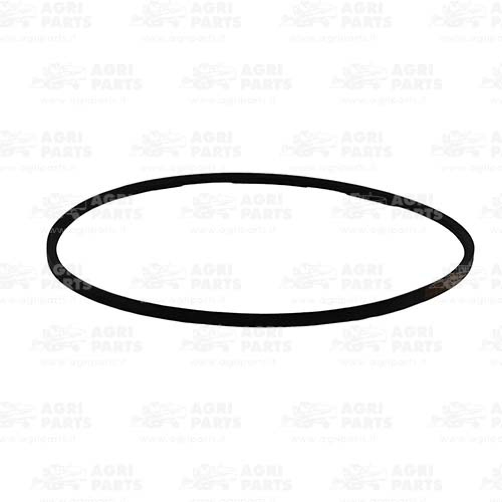 1335280 - RIEMEN - 0001335280CL