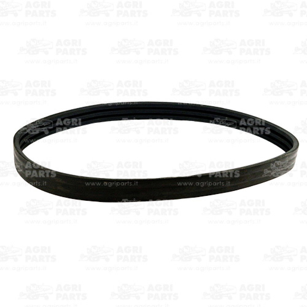 6440161 - RIEMEN - 0006440161CL