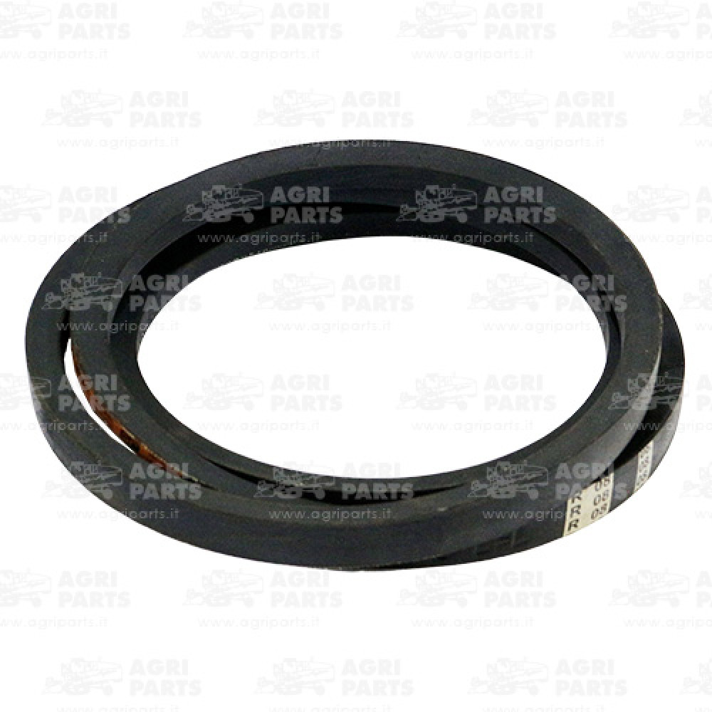 6442670 - CINGHIA - 0006442670CL