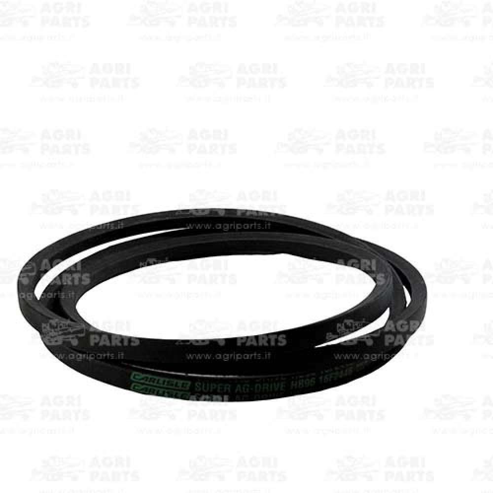 6662900 - CINGHIA - 0006662900CL