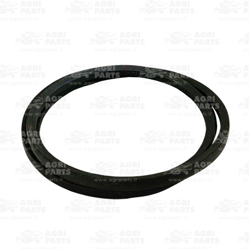 7851721 - CINGHIA - 0007851721CL