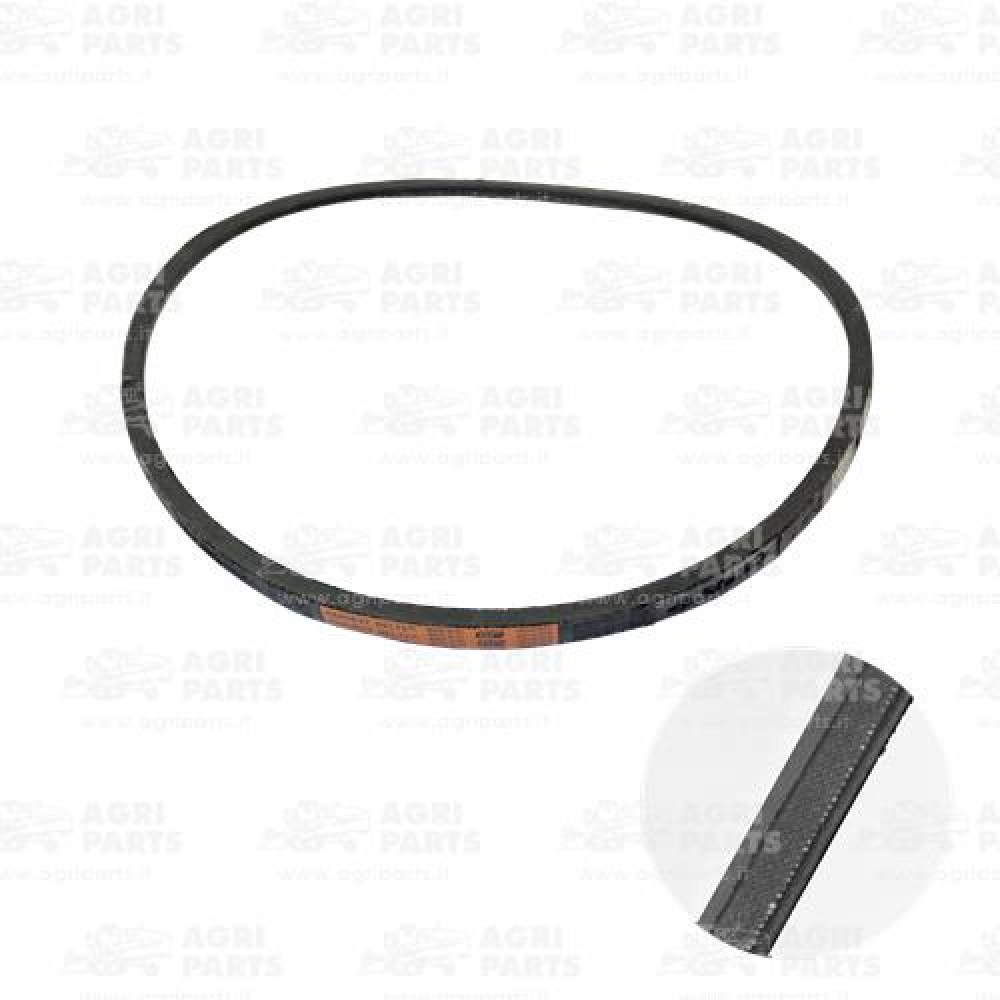 R73189 - CINGHIA - R73189JD