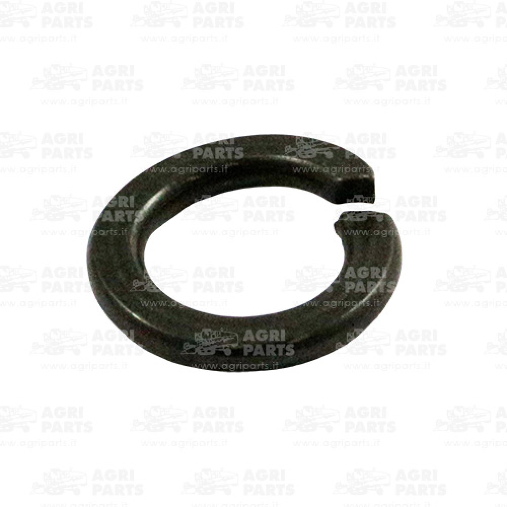 12035571 - RONDELLA - LA12035571AG