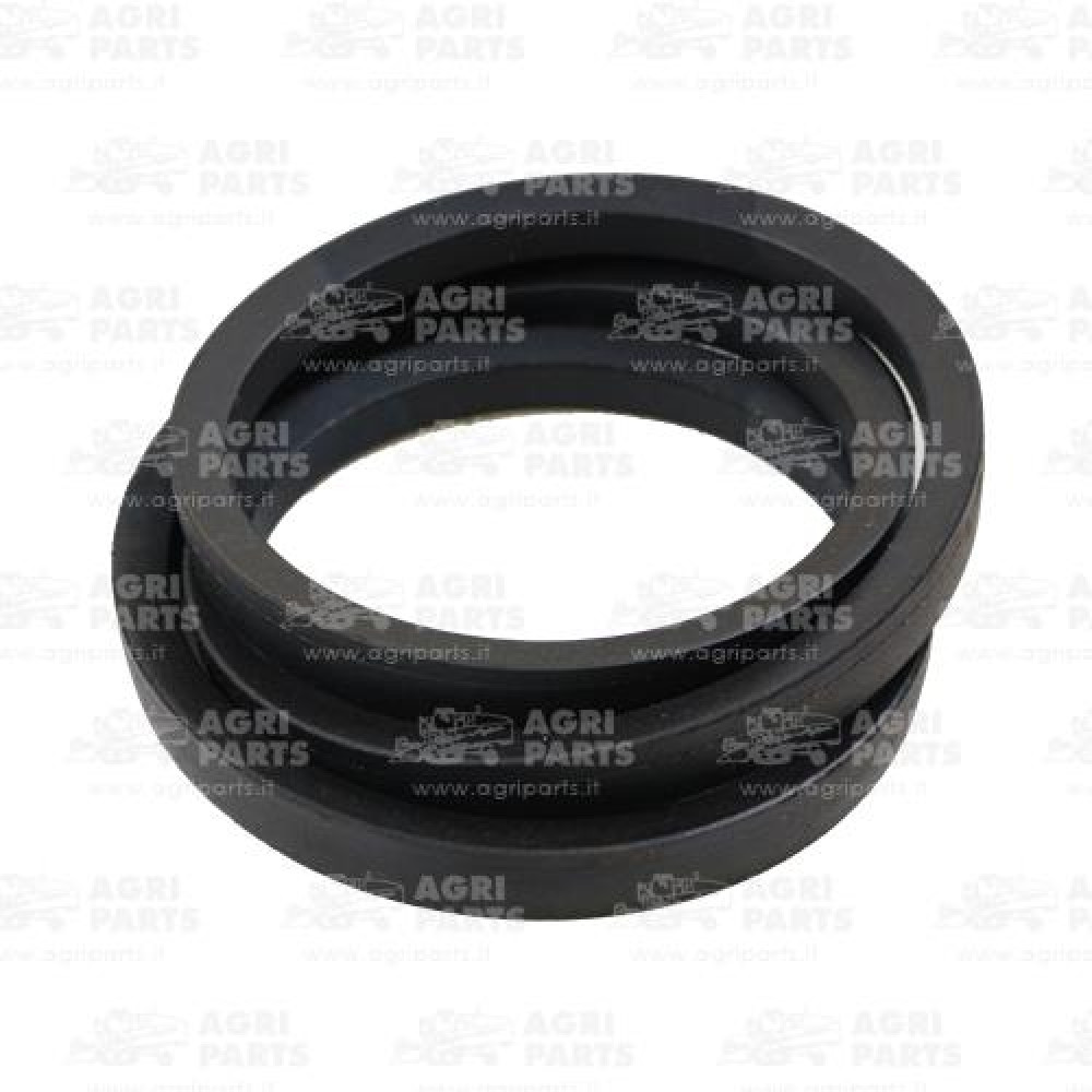 18AP002478 - CINGHIA - 18AP002478