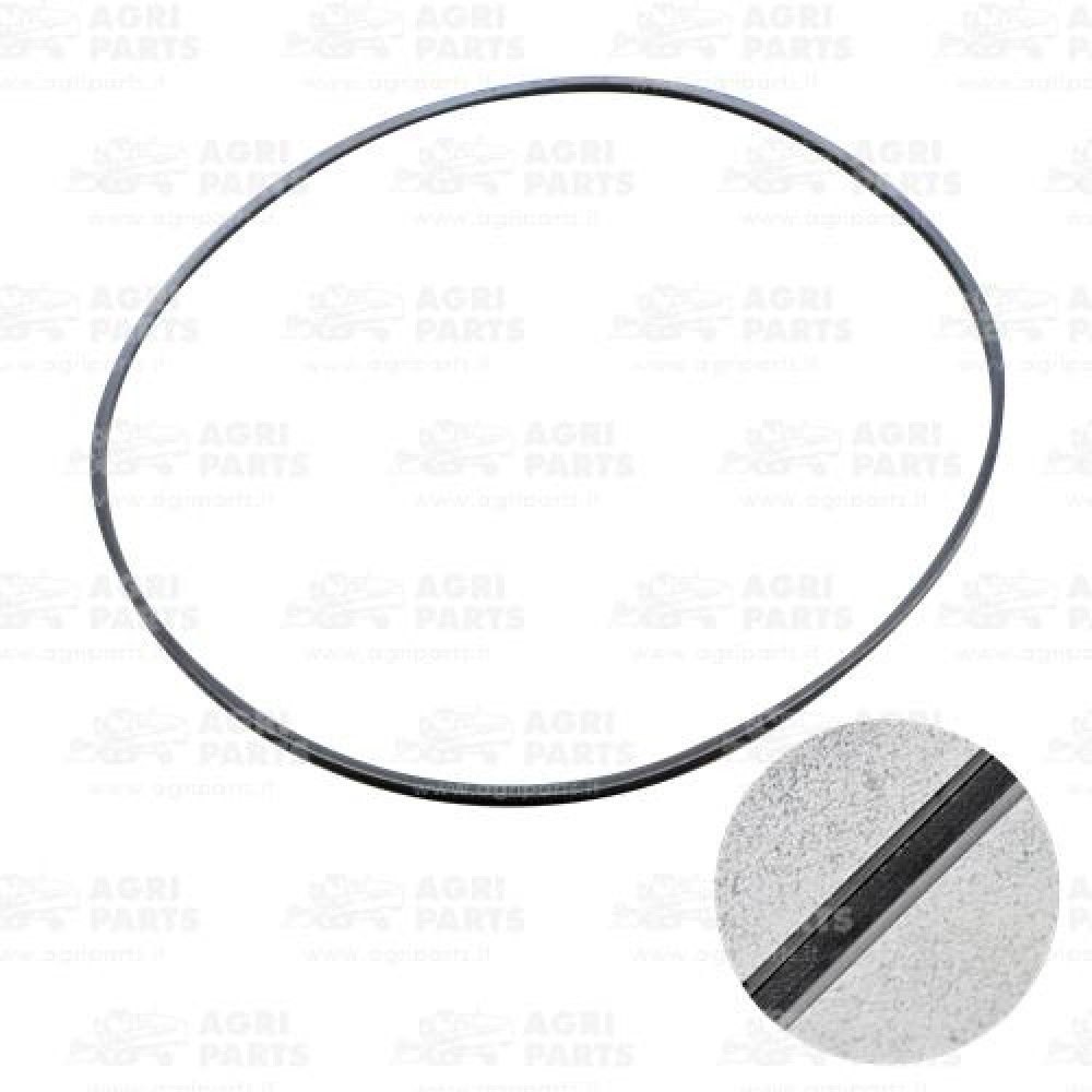 614242 - CINGHIA - 0614242SA