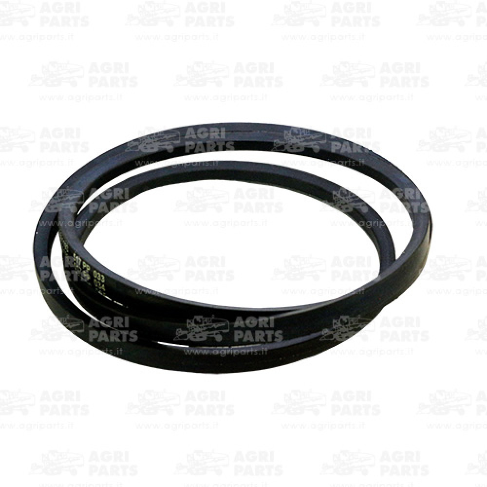 6604880 - CINGHIA - 0006604880CL