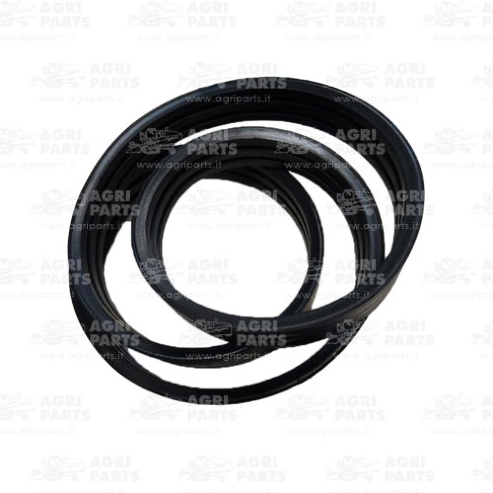 9808510 - CINGHIA (3HB) - 0009808510CL