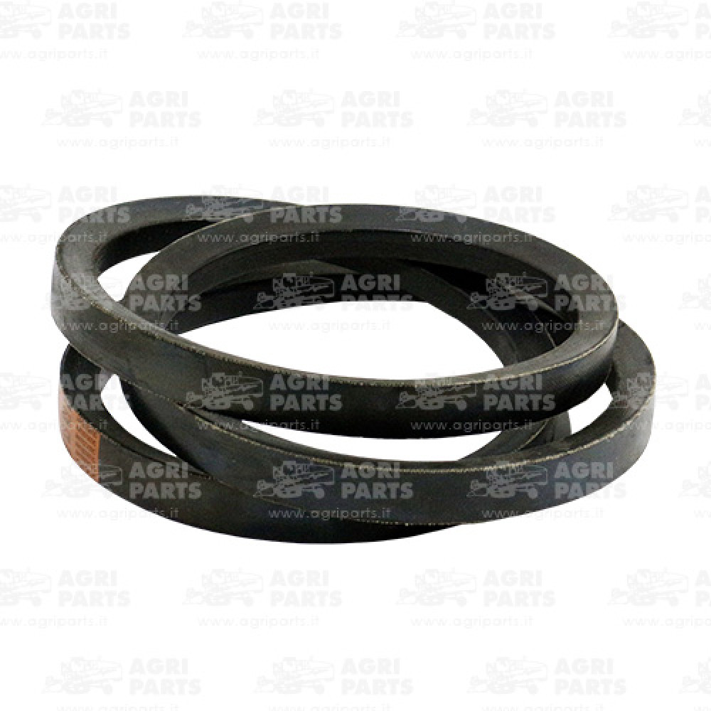 6560280 - CINGHIA - 0006560280CL