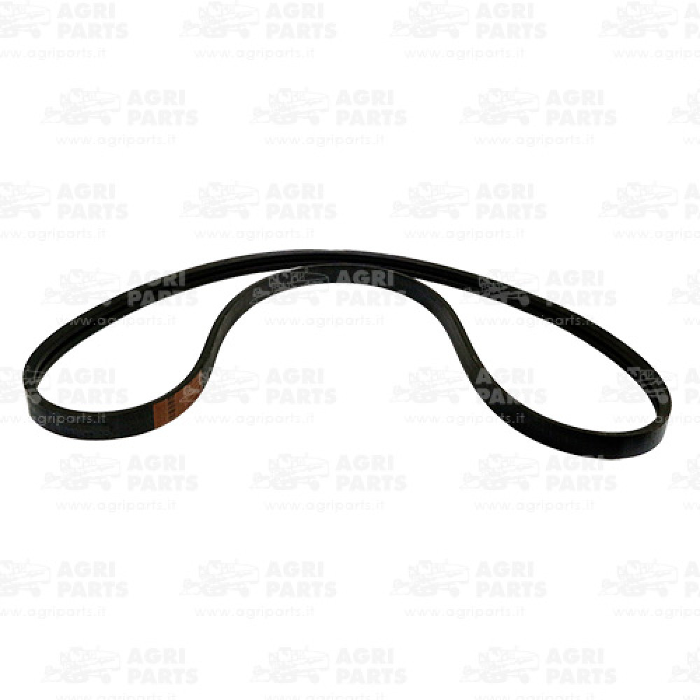 6612980 - CINGHIA (2HB) - 0006612980CL