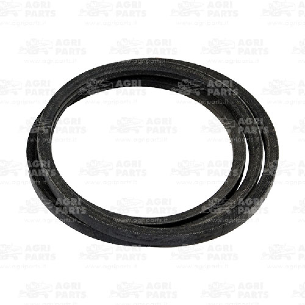 6675601 - BELT - 0006675601CL