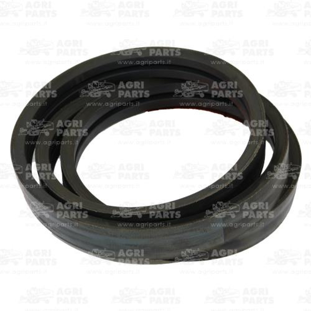 6676810 - RIEMEN - 0006676810CL