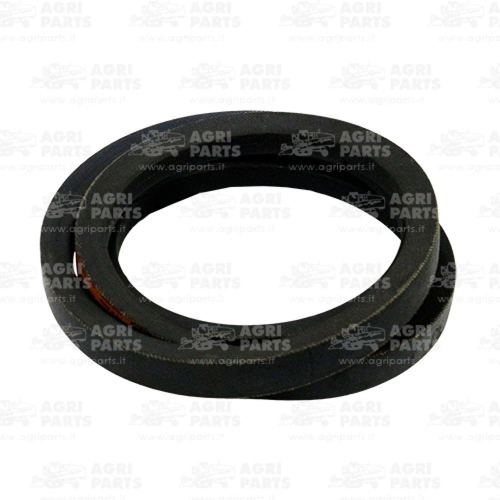 7670571 - CINGHIA - 0007670571CL