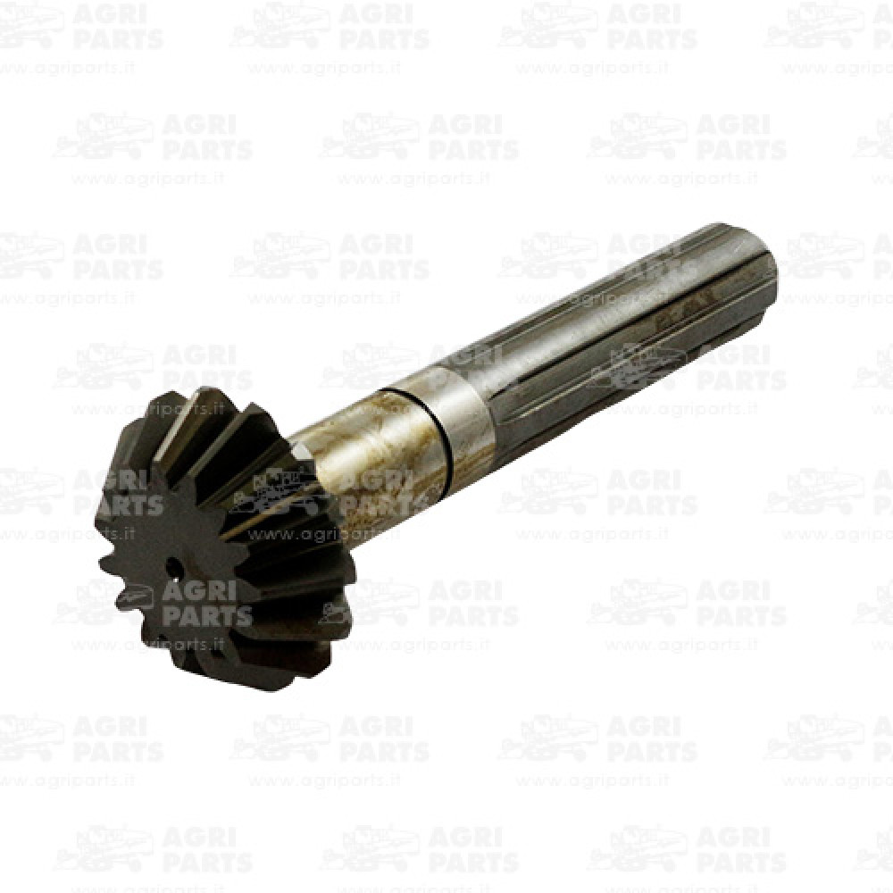 9832520 - PIGNONE - 0009832520CL