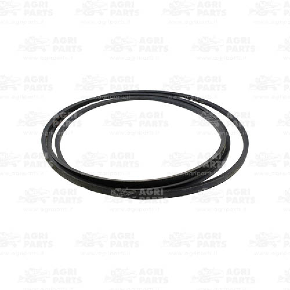 6679570 - RIEMEN - 0006679570CL