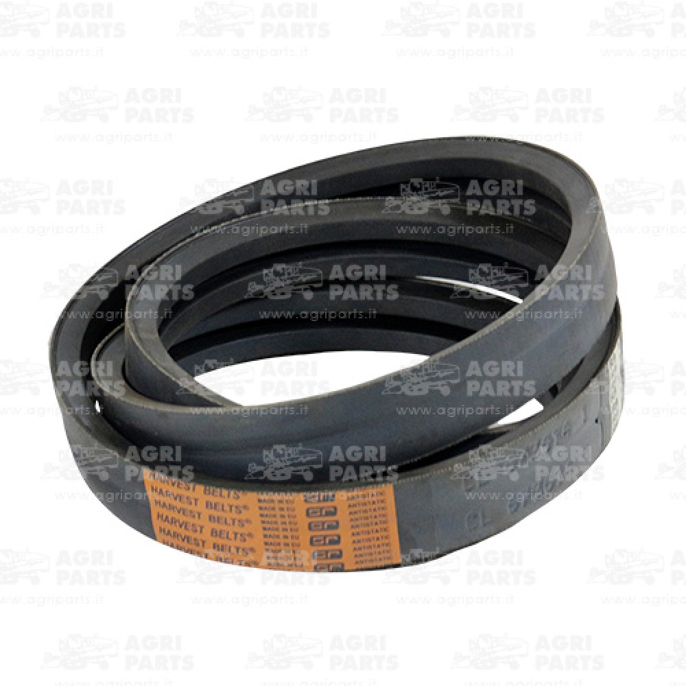 6736141 - BELT - 0006736141CL