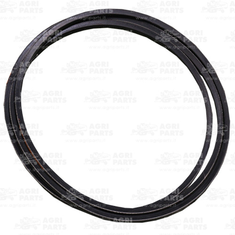 6675611 - RIEMEN - 0006675611CL