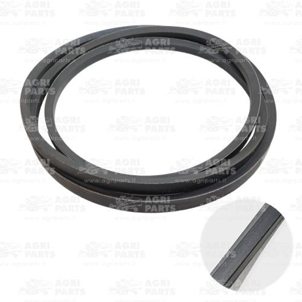 7206950 - CINGHIA - 0007206950CL