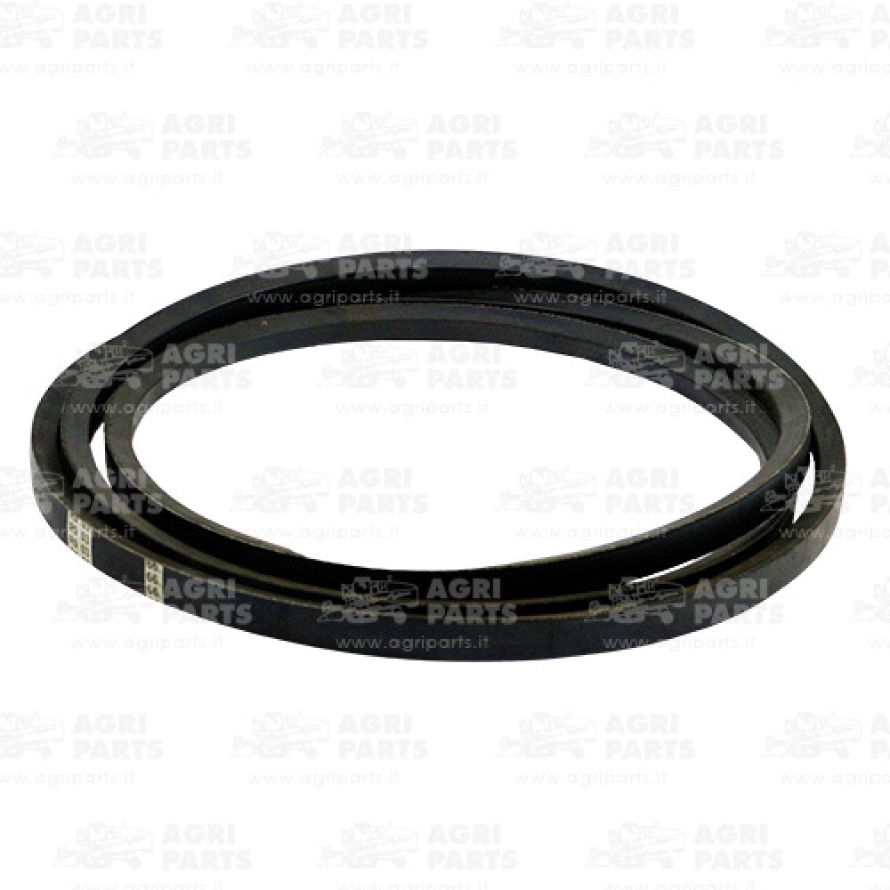 7420261 - RIEMEN - 0007420261CL