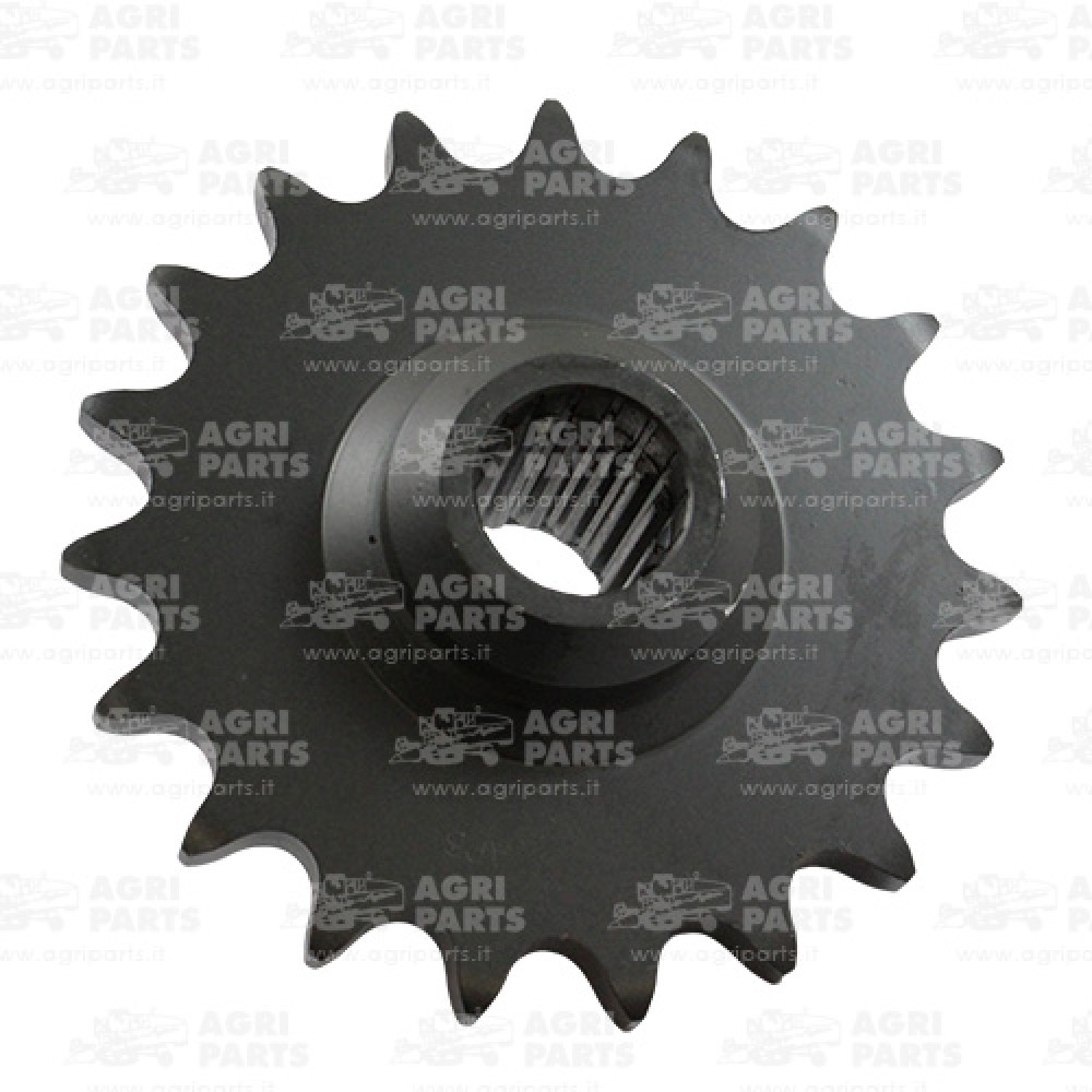 9851080 - PIGNONE - 0009851080CL